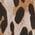 Color Swatch - Animal
