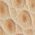 Color Swatch - Tan