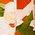 Color Swatch - Orange