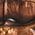 Color Swatch - Brown