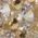 Color Swatch - Gold