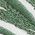 Color Swatch - Green