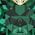 Color Swatch - Green