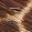 Color Swatch - Animal