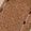 Color Swatch - Tan