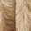 Color Swatch - Tan