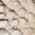 Color Swatch - Fossilized