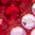 Color Swatch - Pink