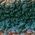 Color Swatch - Green