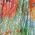 Color Swatch - Floral