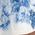 Color Swatch - White/Blue