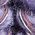 Color Swatch - Purple