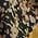 Color Swatch - Floral