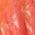 Color Swatch - Orange