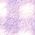 Color Swatch - Purple