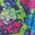 Color Swatch - Floral