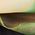 Color Swatch - Green