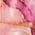 Color Swatch - Pink