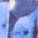 Color Swatch - Blue