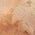 Color Swatch - Pink