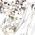 Color Swatch - Silver/Crystal