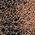 Color Swatch - Brown