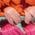 Color Swatch - Pink