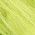 Color Swatch - Green