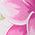 Color Swatch - Floral