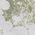 Color Swatch - Blanc/Florage