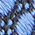 Color Swatch - Blue