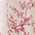 Color Swatch - White/Red