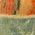 Color Swatch - Orange