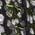 Color Swatch - Floral