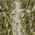 Color Swatch - Olive