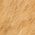 Color Swatch - Orange