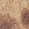 Color Swatch - Natural Leopard