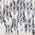 Color Swatch - Grey