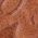Color Swatch - Brown