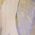 Color Swatch - Ivory
