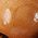 Color Swatch - Tan