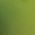 Color Swatch - Green