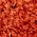 Color Swatch - Orange