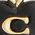 Color Swatch - Black/Gold