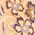 Color Swatch - Floral