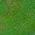 Color Swatch - Green