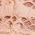 Color Swatch - Pink