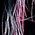 Color Swatch - Pink Multi