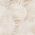 Color Swatch - Ivory