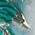 Color Swatch - Teal
